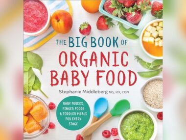 Best Baby Food Recipes