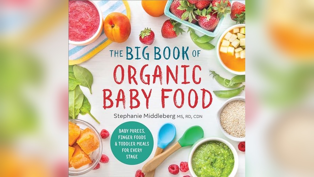 Best Baby Food Recipes