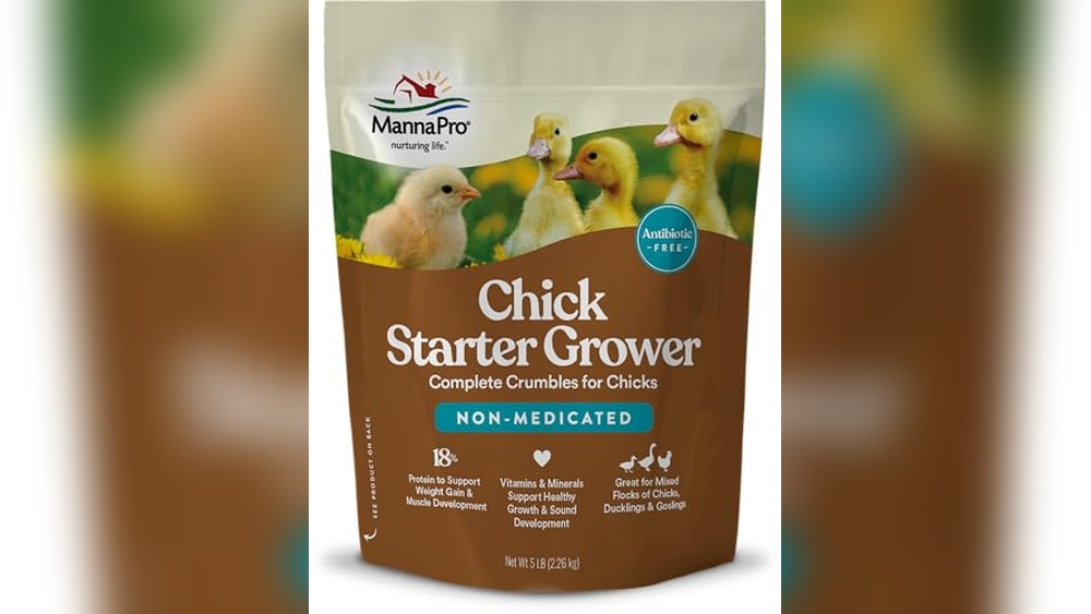 What is the Best Food for Baby Chicks